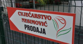 Porodični biznis: Cvjećarstvo “Nesimović” nudi širok asortiman cvijeća ekstra kvaliteta