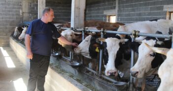 Admir Kahriman, vlasnik farme IMEA Misoča: Od proizvodnje mlijeka se može lijepo živjeti