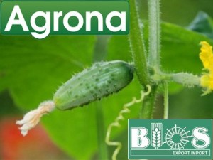 agrona